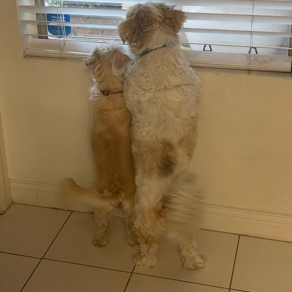 Meet your Posher, Jennifer - Picture 7 of 7